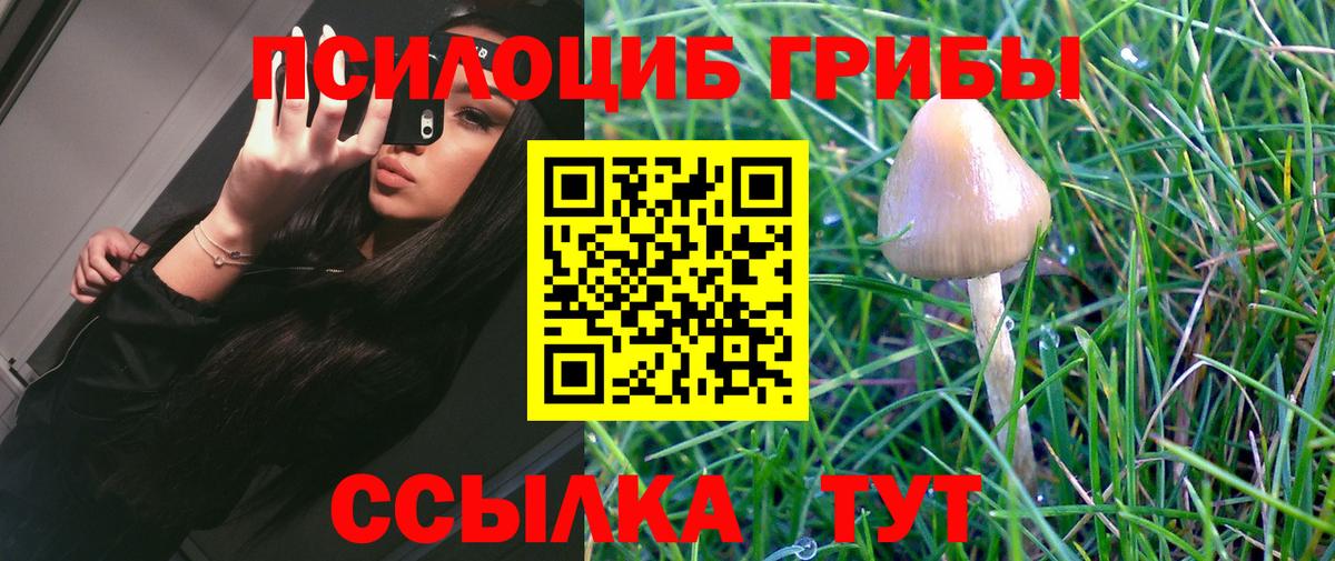 Галлюциногенные грибы мицелий Ливны
