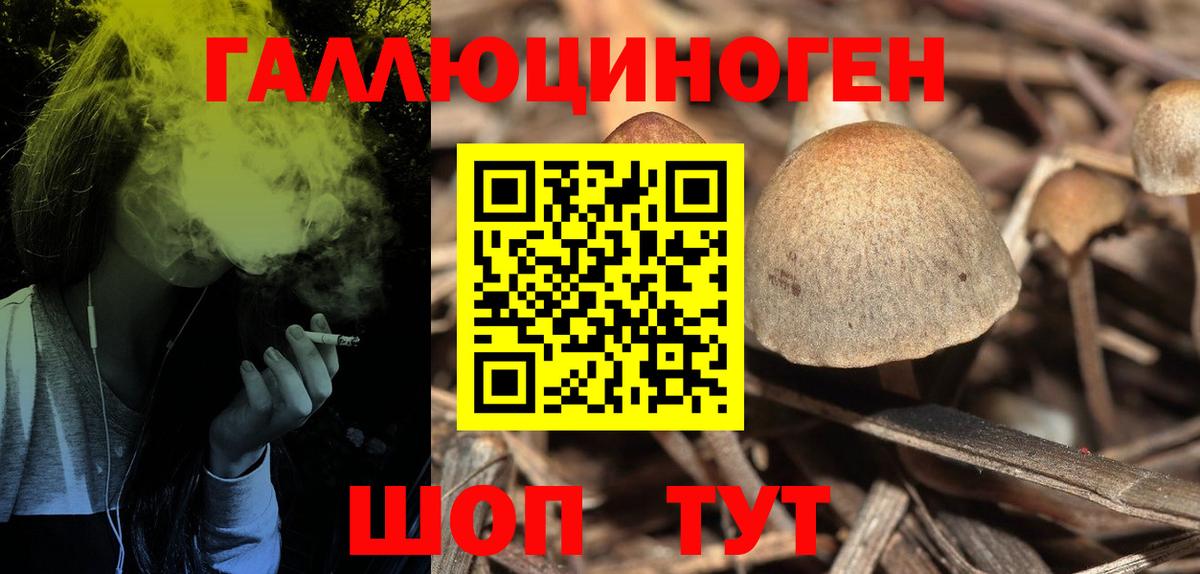 Ливны  Галлюциногенные грибы ЛСД  Псилоцибиновые грибы Magic Shrooms  Вход с VPN 